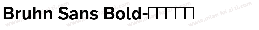 Bruhn Sans Bold字体转换